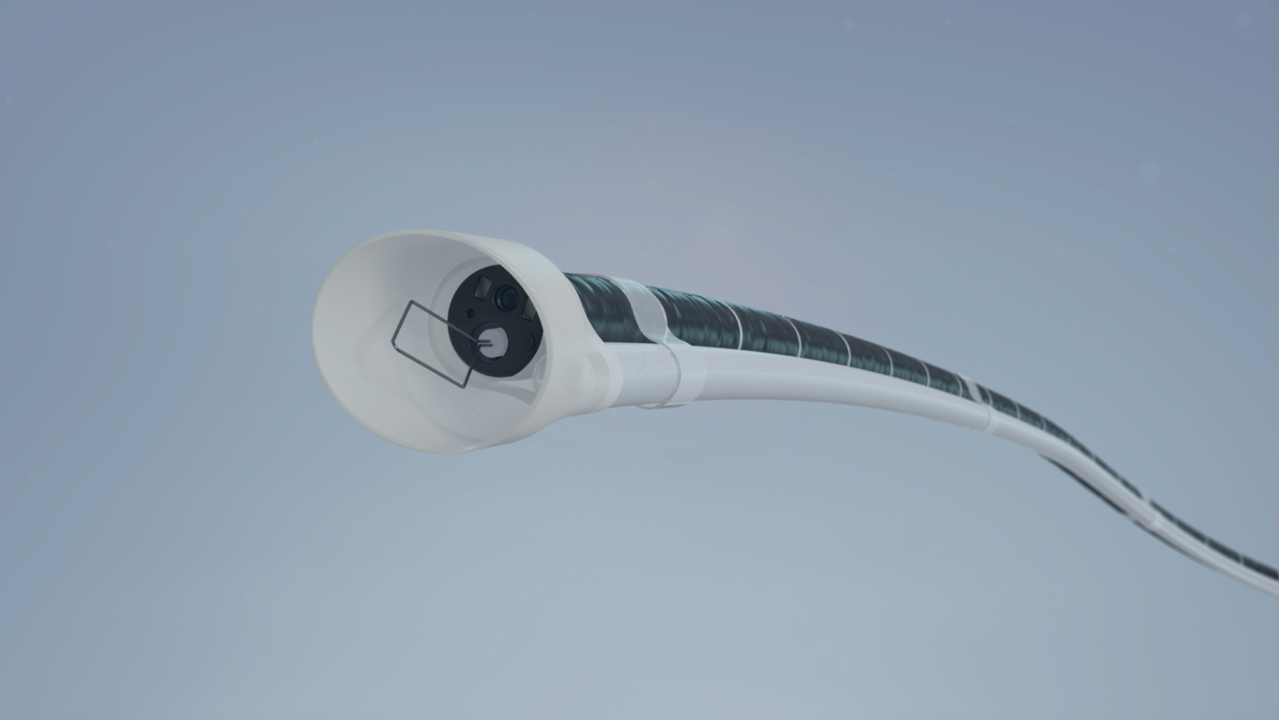 Immediate-Visibility-for-Active-GI-Bleeding---Endoscopic-Intervention---ERGO-GI-IMG13